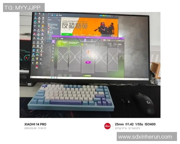 电竞数据深度解析赵丽的CSGO职业生涯与成长历程 电竞数据深度解析赵丽的CSGO职业生涯与成长历程